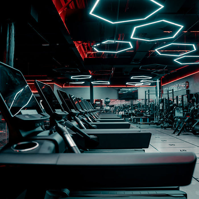 Fitness Bridge