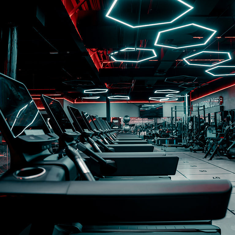 Fitness Bridge