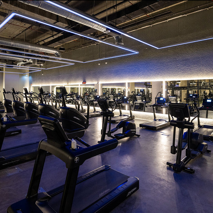 Warehouse Gym – Ibn Battuta Mall