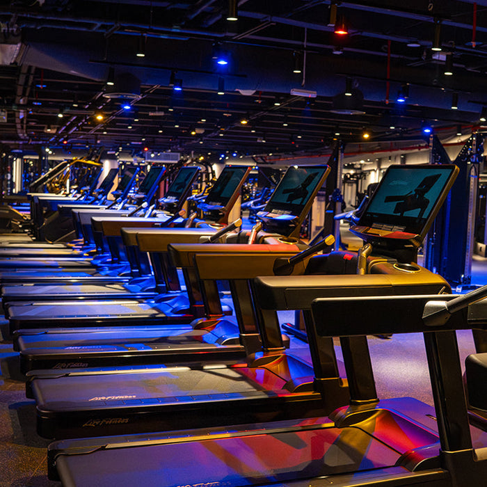 Warehouse Gym – Emirates Towers