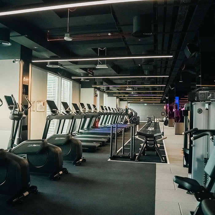 Wellfit – Marina