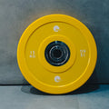 BEFIT COLOURED BUMPER PLATE-15KG (Single)
