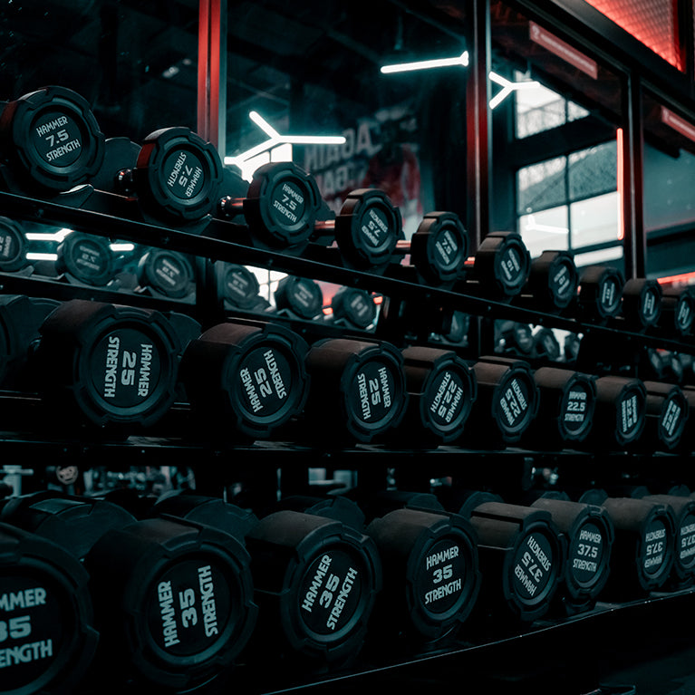 Fitness Bridge
