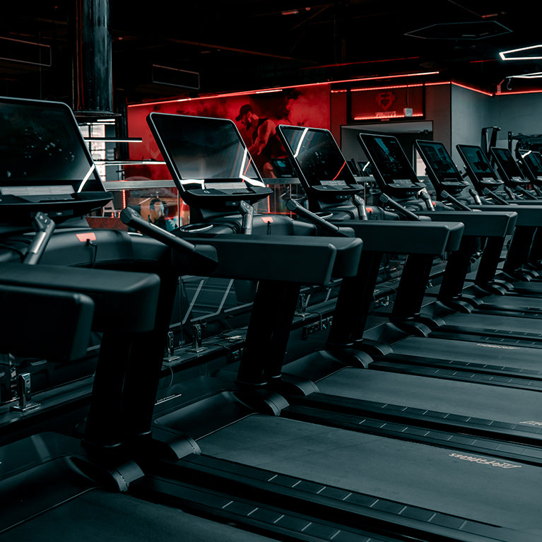 Fitness Bridge