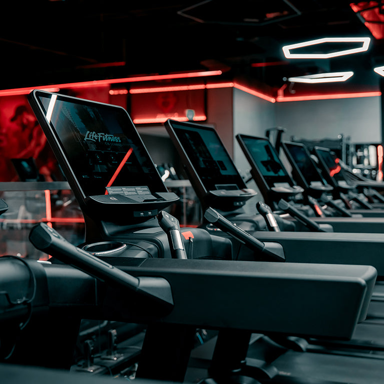 Fitness Bridge