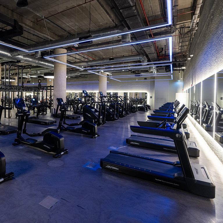 Warehouse Gym – Ibn Battuta Mall