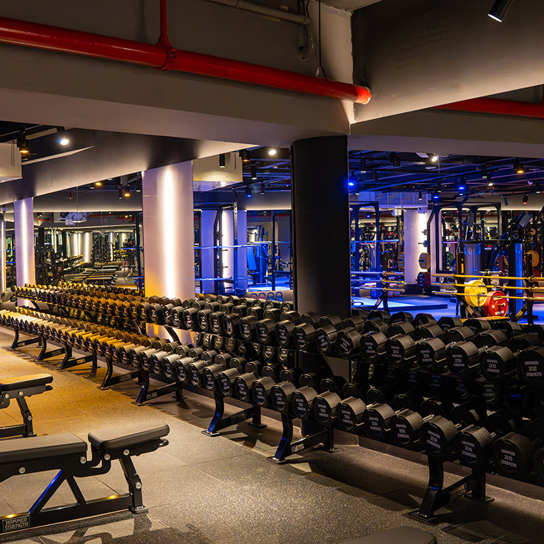 Warehouse Gym – Emirates Towers