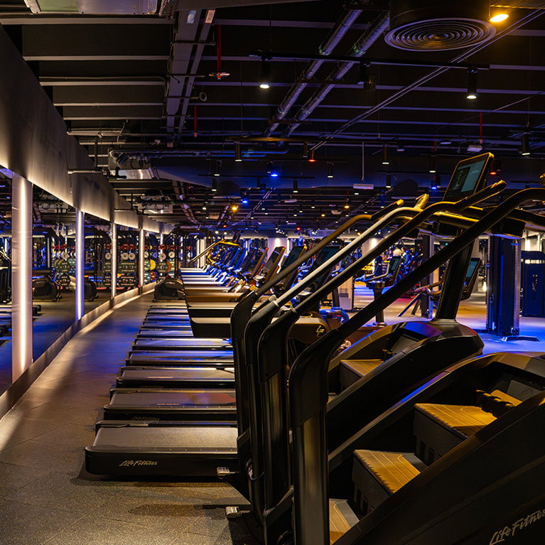 Warehouse Gym – Emirates Towers