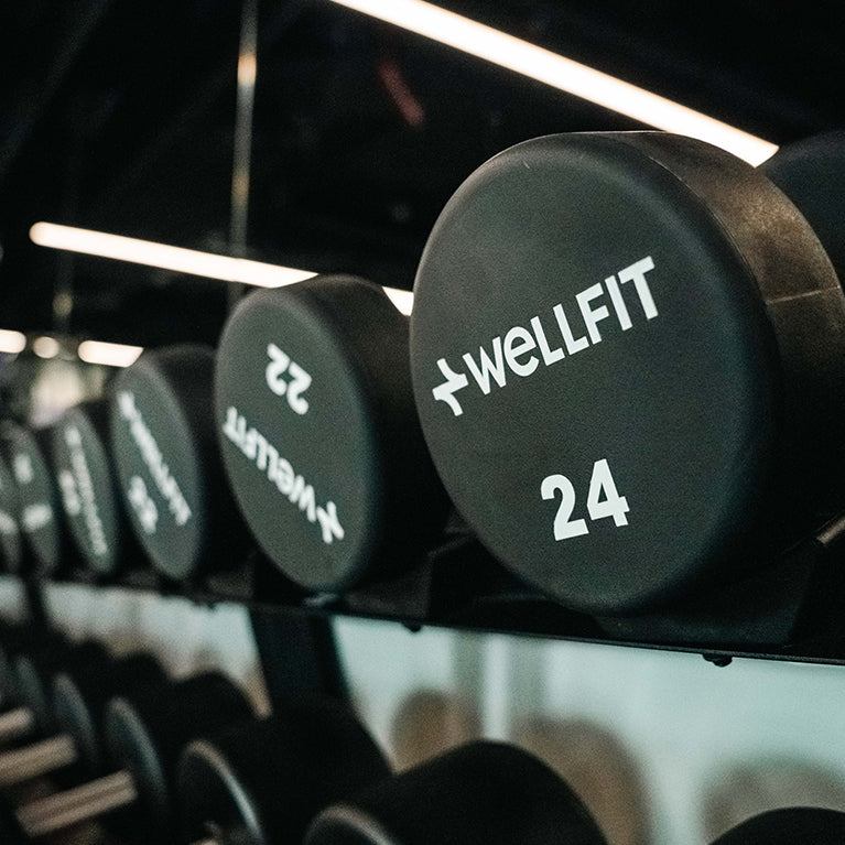 Wellfit – Marina